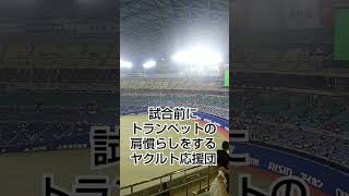 試合前にトランペットの肩慣らしをする# 東京ヤクルトスワローズ応援団 (バンテリンドーム)