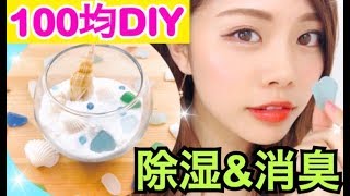 【100均DIY】除湿\u0026消臭機の作り方◆夏のテラリウム風お部屋インテリア！超簡単ダイソー\u0026セリアアレンジ！池田真子 Room Decor