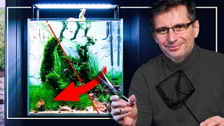 SIMPLIFIED Upkeep for Our LOVELY 45H AQUARIUM | Maintenance Session