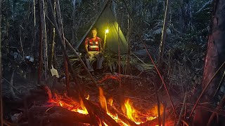 Solo Camping‼️Membangun Shelter Dan Memanggang Ayam || Ada Suara Kicauan Burung Yang Indah 🇮🇩