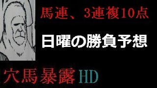 【ラストジャッジ】 中山牝馬ステークスの予想