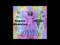 Sapien Medicine Attract Wealth Prosperity and Abundance Energetically Programmed Audio