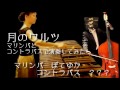 【月のワルツ】マリンバとコントラバスで演奏してみた waltz of moon for marimba u0026 contrabass