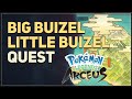 Big Buizel Little Buizel Pokemon Legends Arceus