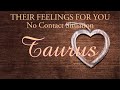 TAURUS tarot love ♉️ Orang Ini Sangat Ingin Berhubungan Dengan Anda Taurus Anda Perlu Mendengar Ini