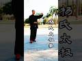 Yang Familys Taichi #太极 #kungfu #太極拳 #taijiquan