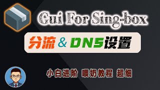 排名第一的代理工具Sing-Box，精细分流和DNS设置教程！玩转的Gui for sing-box客户端，策略组规则集路由设置和DNS规则设置｜节点和订阅转换（进阶篇）