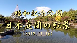 昭和記念公園 日本庭園の紅葉 2019年