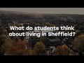 What do our students think about Sheffield?