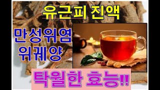 165. 유근피(느릅나무껍질) 효능과 복용법과 구매법, 만성 위염에 특효