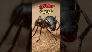 حقائق غريبة ستدهش عقلك