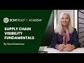 Supply Chain Visibility Fundamentals by Vera Rozanova