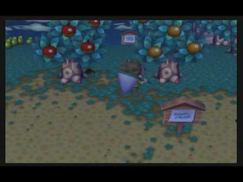 Animal Crossing City Folk - How To Catch Tarantulas & Scorpions Animal Crossing City Folk - How To Catch Tarantulas & Scorpions