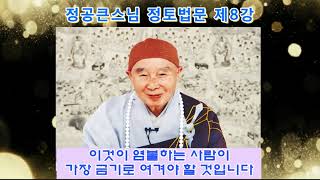 염불하는 사람은 이것을 가장 금기로 여겨야 합니다-정토법문 제8강,정공큰스님 강설