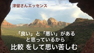 「良い」と「悪い」があると思っているから「比較」をして思い苦しむ　　津留さんエッセンスシリーズ（「新人類の覚醒進化プログラム」『比較そして悟り』より）