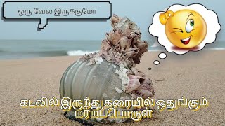 கடலில் இருந்து கரைப்பகுதியில் ஒதுங்கும் மர்ம பொருள்.