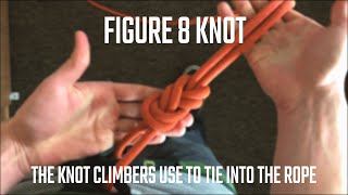 Knot Demo - Figure 8 knot | Campus Rec at CSU