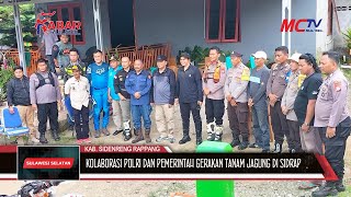 KOLABORASI POLRES \u0026 PEMKAB SIDRAP GERAKAN TANAM JAGUNG DEMI KETAHANAN PANGAN