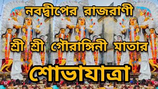 নবদ্বীপের রাজরাণী শ্রী শ্রী গৌরাঙ্গিনী মাতার শোভাযাত্রা এবং নিরঞ্জন ২০২২ | নবদ্বীপ রাস উৎসব ২০২২