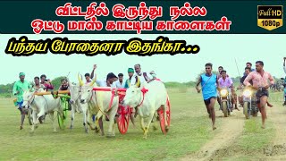 தஞ்சாவூர் (மா) சோலக்காடு கனேசன் அவர்களின்  பயிற்சி பந்தயம்||24/07/2021||  solikkadu