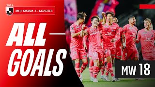 Astounding Free Kick Goal Appear! | 2024 J1 League Goals Show | MW 18