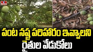 పంట నష్ట పరిహారం ఇవ్వాలని రైతుల వేడుకోలు | Farmers Crop Loss Compensation | hmtv