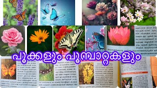 പൂക്കളും പൂമ്പാറ്റകളും #flower\u0026butterfly #