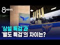 '상설 특검'과 '별도 특검'의 차이는? / SBS 특집 8뉴스