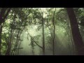 Il Cuore Verde dell'Africa - WWF trailer