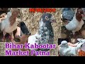 Bihar Kabootar Market Patna #pigeon #market