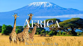 Africa 4K Scenic Wildlife Film - Beautiful Piano Music - Travel Nature