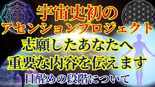 【宇宙史初のアセンション】志願した勇敢なあなたへ【目醒めのプロセスについて】