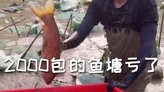 【戶外捕魚VLOG】南豐兄弟2000包的魚塘虧了#釣魚的樂趣只有釣魚人懂 #原來釣魚才是運動頂流 #釣魚人