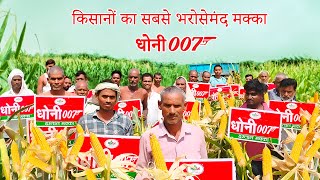 किसानों का सबसे भरोसेमंद मक्का धोनी 007 | Dhoni007 | Harlal Seeds