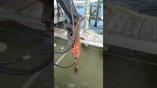 #Docklife#Drilling#Brevarddockbuilders