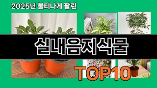 실내음지식물 쿠팡에서 꼭 사야 할 아이템 BEST 10