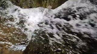 CHAKRATIRTHA ANANDPUR KEONJHAR #chakratirtha #waterfall #waterfallsounds #naturelovers #nature