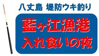 八丈島堤防ウキ釣り、藍ヶ江漁港入れ食いの夜