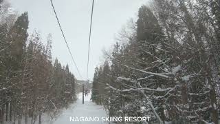 NAGANO SKIING AREA