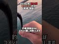 10 18 水 南大阪朝まづめの状況 釣り 大阪湾 fishing のませ釣り アオリイカ 青物 エギング エギ王 ノリノリ