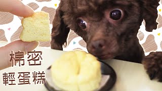 ｜教你做狗狗蛋糕 🧁｜自製 狗狗鮮食 狗狗零食 DIY｜蛋味濃厚鬆軟又棉密｜#狗狗蛋糕