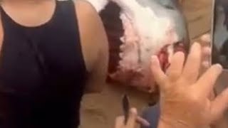 Man KILLED in Egypt Shark ATTACK ! هجوم القرش على مصر