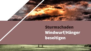 Windwurf - Hänger  auf öffentlichen Weg beseitigen