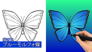 青いモルフォ蝶の描き方|簡単なステップバイステップの描画チュートリアル