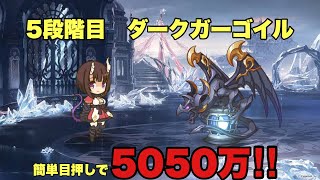 5段階目 ダークガーゴイル　5050万　セミオートSET TL平均ダメージ向上版