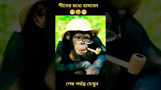 শীতের মধ্যে হাসবেন #funny #shorts #funnyvideo #fun #trending #viralvideo #youtubeshorts