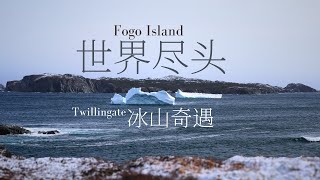 【紐芬蘭遊記4】世界盡頭與冷酷仙境 | 福戈島 | 看冰山 | Exploring Newfoundland VLOG 4 | Fogo Island | Twillingate  #gopro