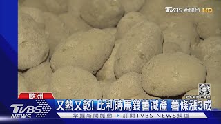 又熱又乾! 比利時馬鈴薯減產 薯條價格漲3成｜TVBS新聞