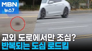 교외 도로에서만 일어난다?…반복되는 도심 로드킬 [MBN 뉴스7]