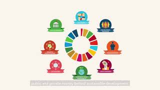 Financing the Sustainable Development Goals: Together we can do more